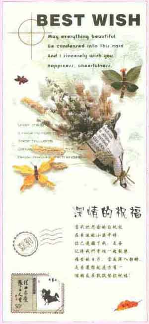 �`��������