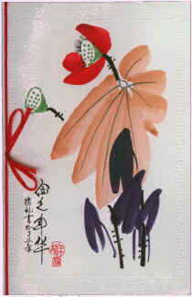 �P�d����