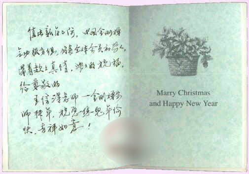 �P�~�d���e